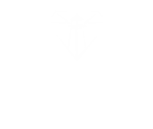 Radden Education Institute